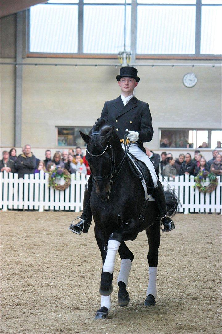 Åbent hus - Blue Hors - 2012 - Blue Hors Hotline billede 65