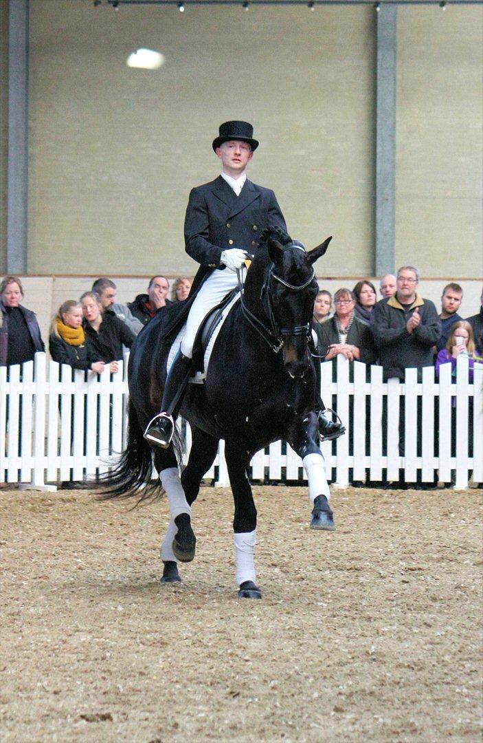 Åbent hus - Blue Hors - 2012 - Blue Hors Hotline billede 67