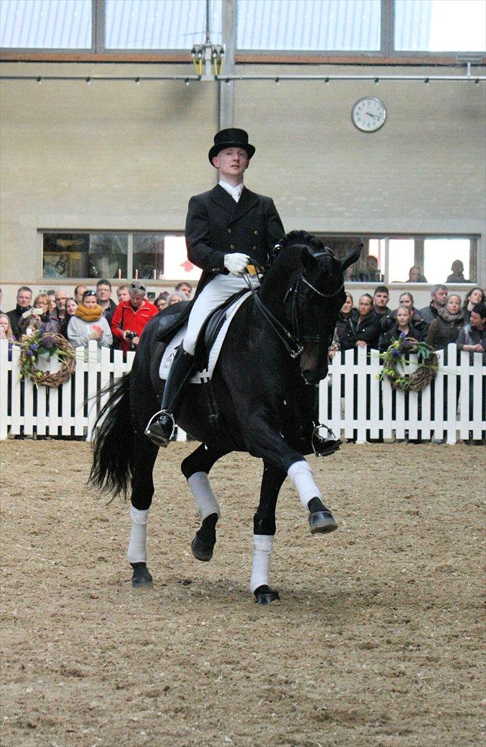 Åbent hus - Blue Hors - 2012 - Blue Hors Hotline billede 68