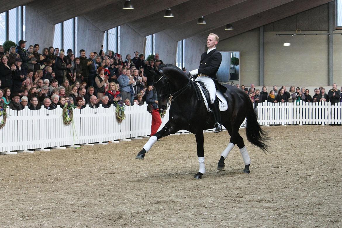 Åbent hus - Blue Hors - 2012 - Blue Hors Hotline billede 69