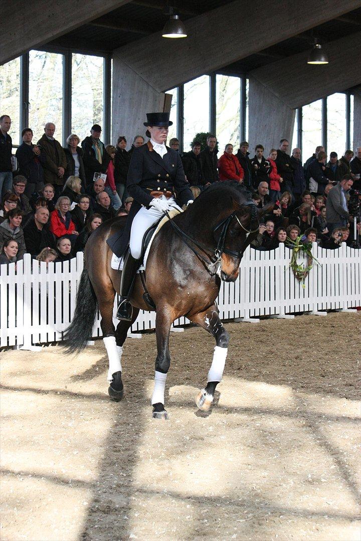 Åbent hus - Blue Hors - 2012 - Blue Hors Rush Hour billede 70