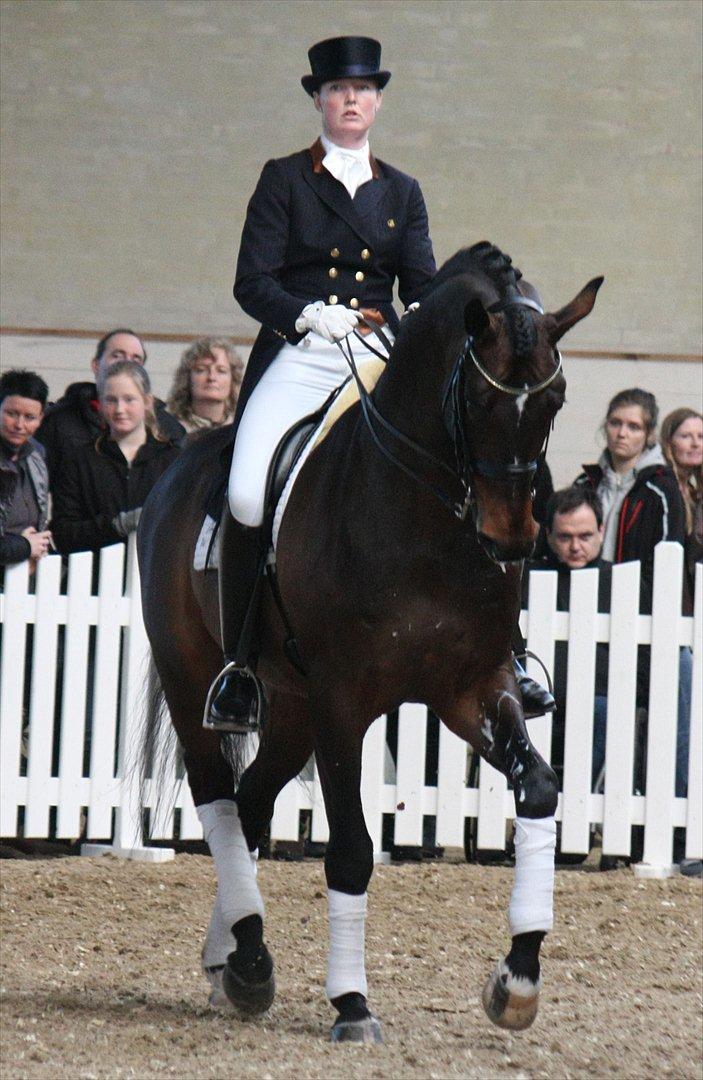 Åbent hus - Blue Hors - 2012 - Blue Hors Rush Hour billede 71