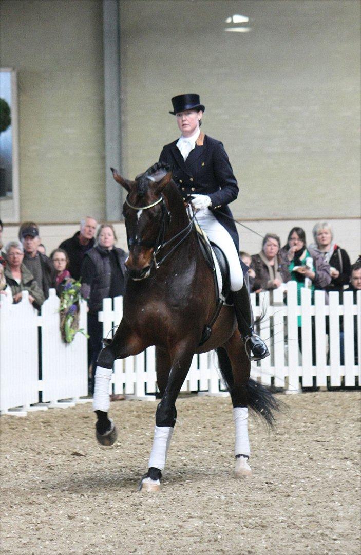 Åbent hus - Blue Hors - 2012 - Blue Hors Rush Hour billede 72