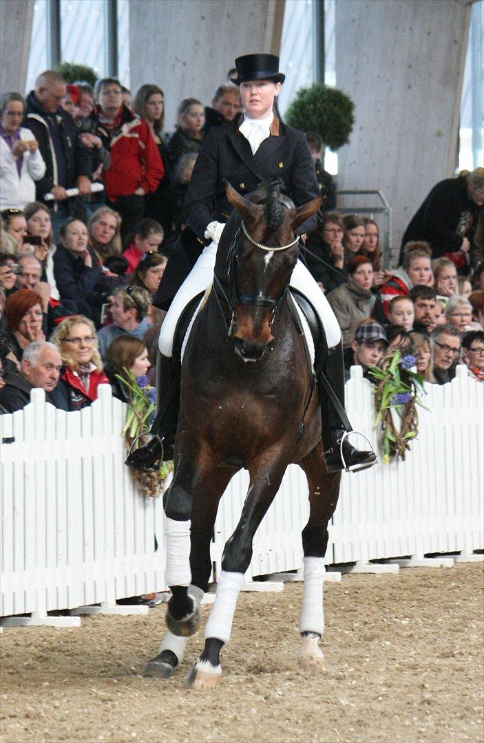 Åbent hus - Blue Hors - 2012 - Blue Hors Rush Hour billede 73