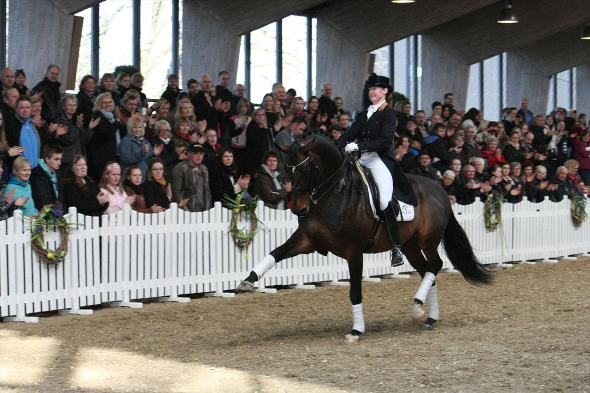 Åbent hus - Blue Hors - 2012 - Blue Hors Rush Hour billede 76
