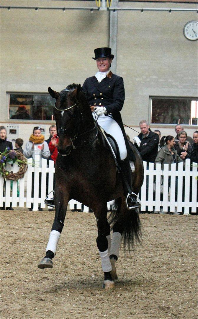 Åbent hus - Blue Hors - 2012 - Blue Hors Rush Hour billede 77