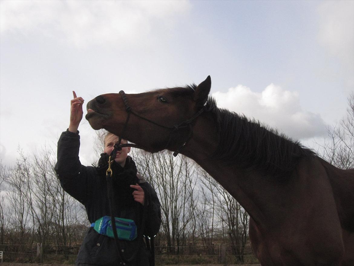 Vores billedebog. - Kaliber er ved at lære tricket; smile! :-D Han er saaaj til det :-P billede 35