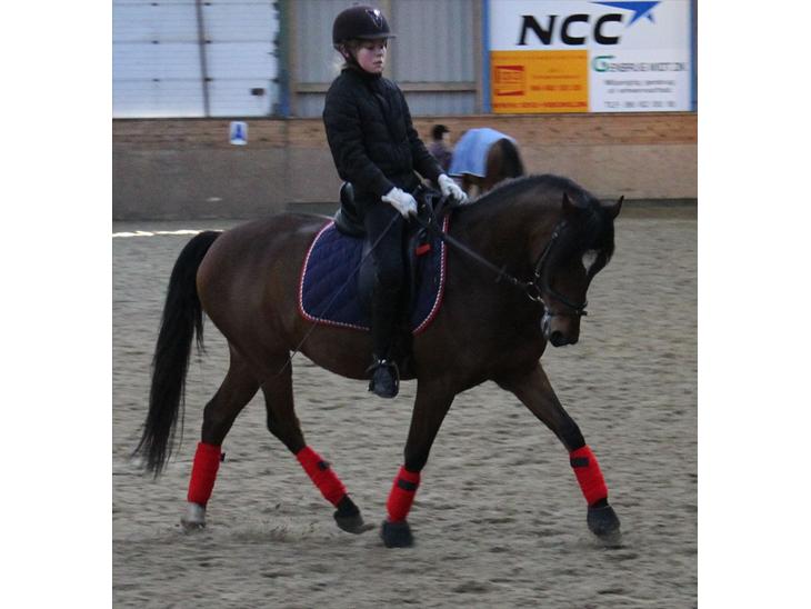 {{currentPhoto.altText}} billede {{currentPhoto.number}}