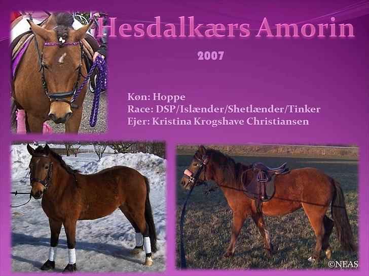 Navneskilt til jeres heste billede 86