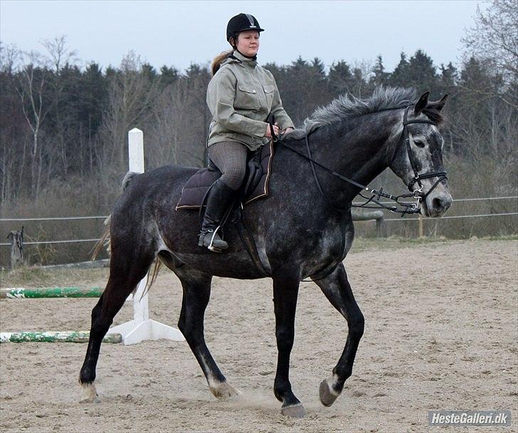 Træning med Grumse billede 2