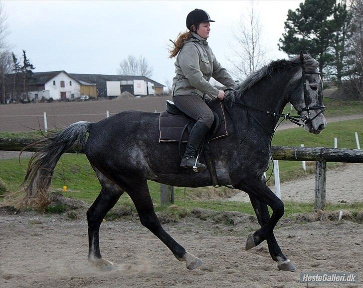 Træning med Grumse billede 3