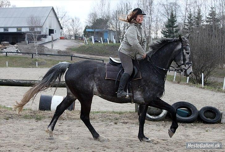 Træning med Grumse billede 4