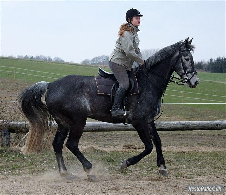 Træning med Grumse billede 5