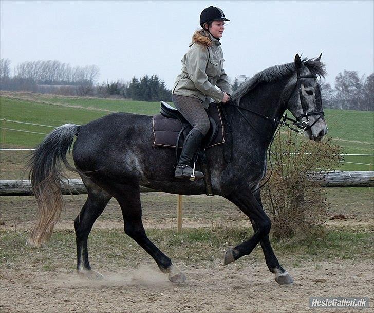 Træning med Grumse billede 6