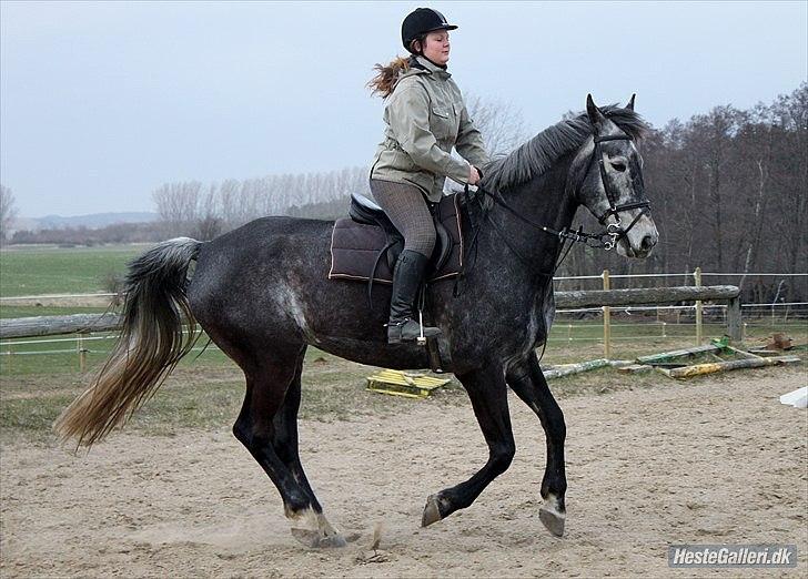 Træning med Grumse billede 7