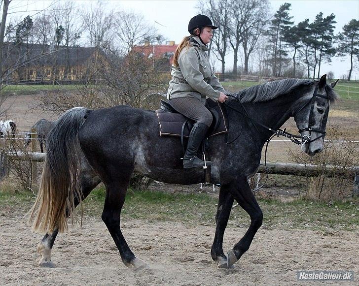 Træning med Grumse billede 8