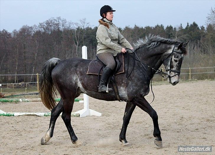 Træning med Grumse billede 9