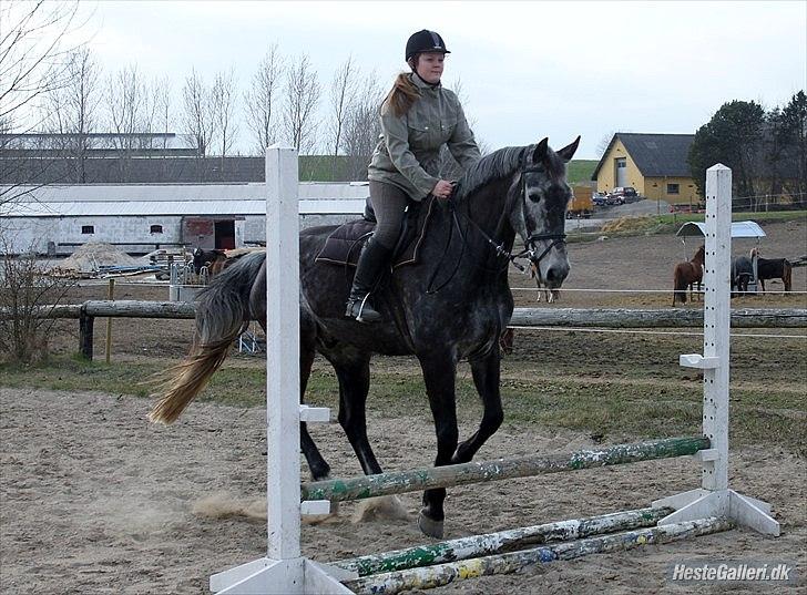 Træning med Grumse billede 10
