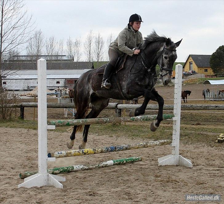 Træning med Grumse billede 11