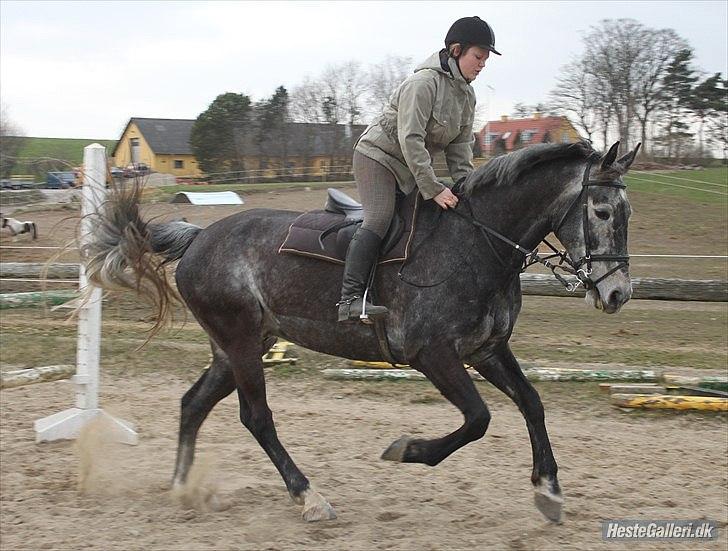 Træning med Grumse billede 12