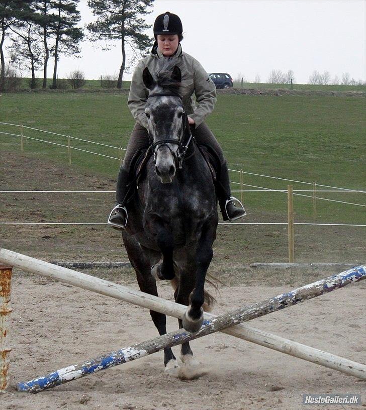 Træning med Grumse billede 13