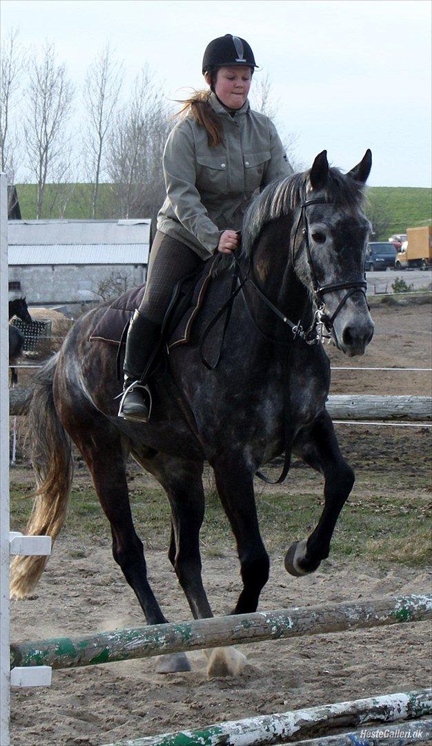 Træning med Grumse billede 15