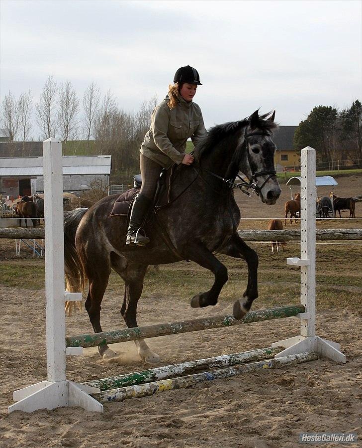 Træning med Grumse billede 16