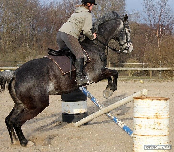 Træning med Grumse billede 17