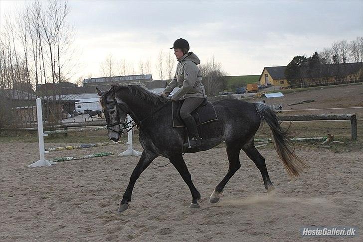 Træning med Grumse billede 18