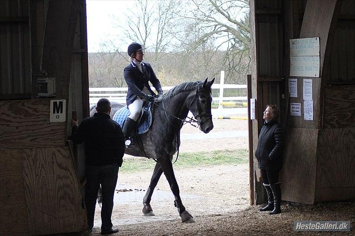 Træning med Grumse billede 19