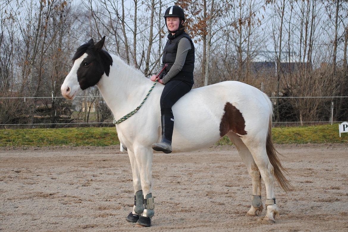 Ridning i cordeo billede 2