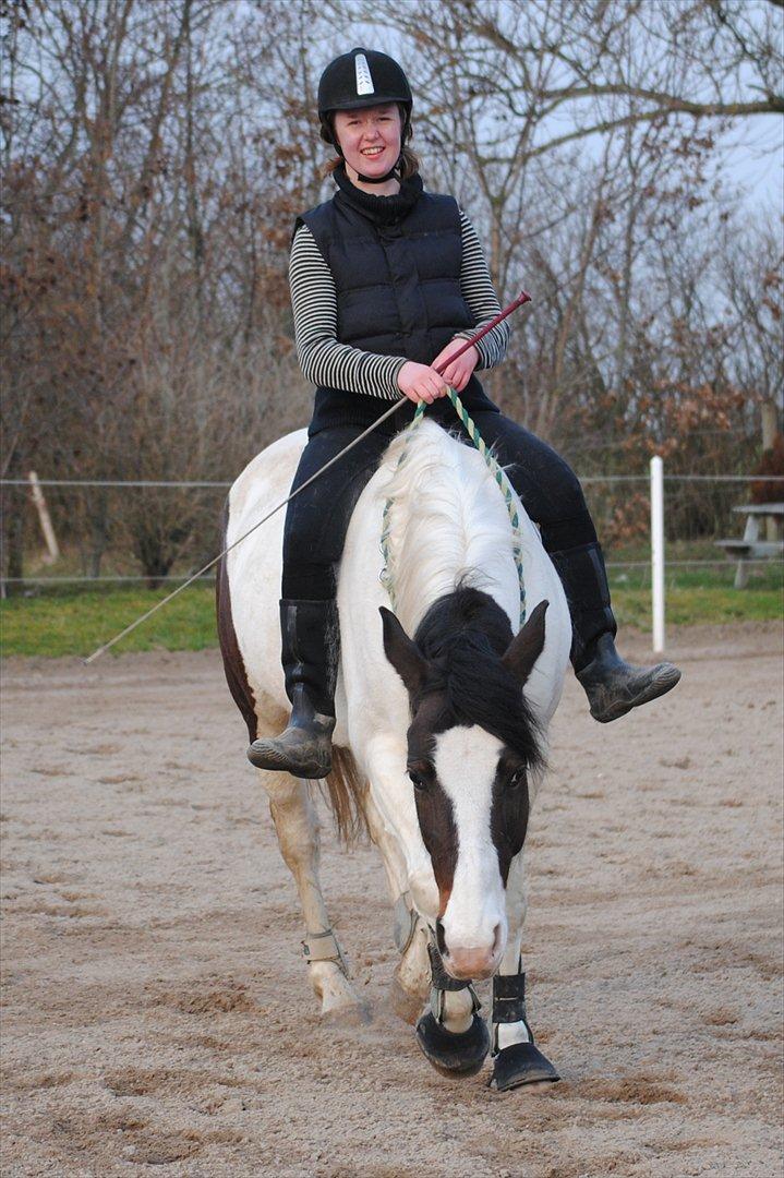 Ridning i cordeo billede 1