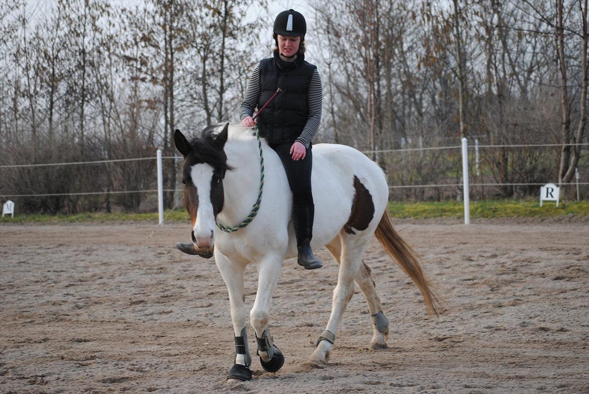 Ridning i cordeo billede 5