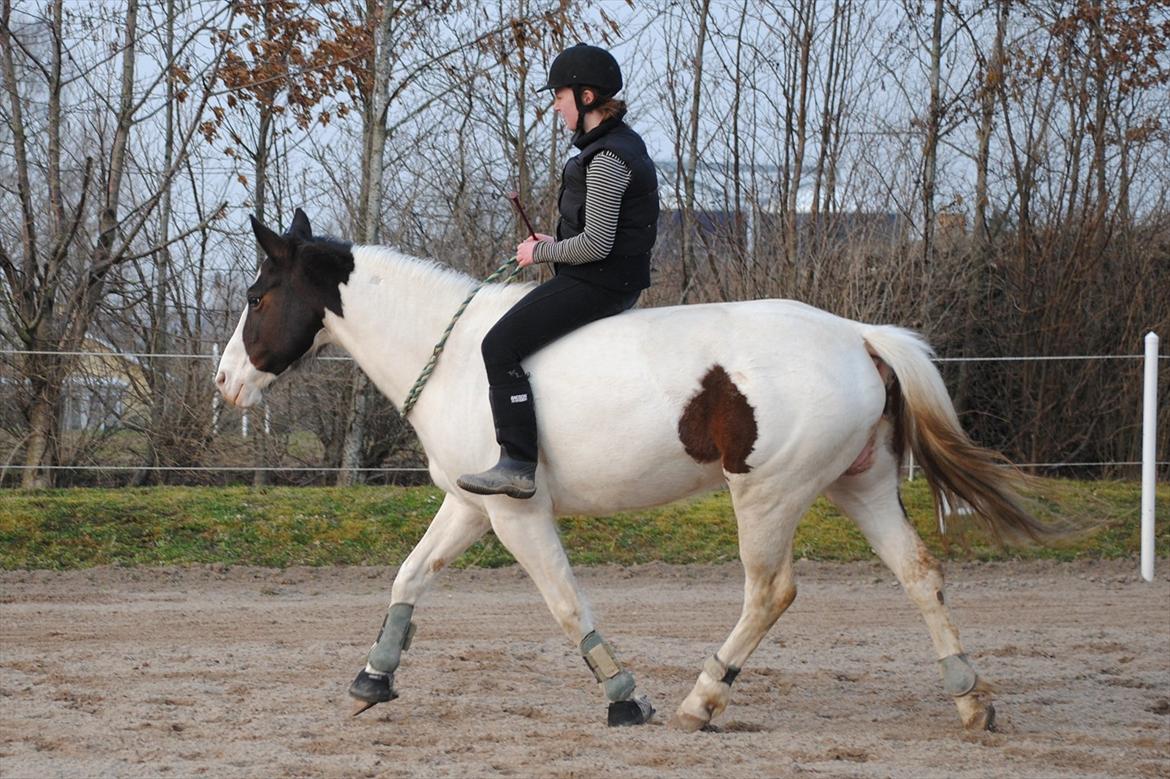 Ridning i cordeo billede 6