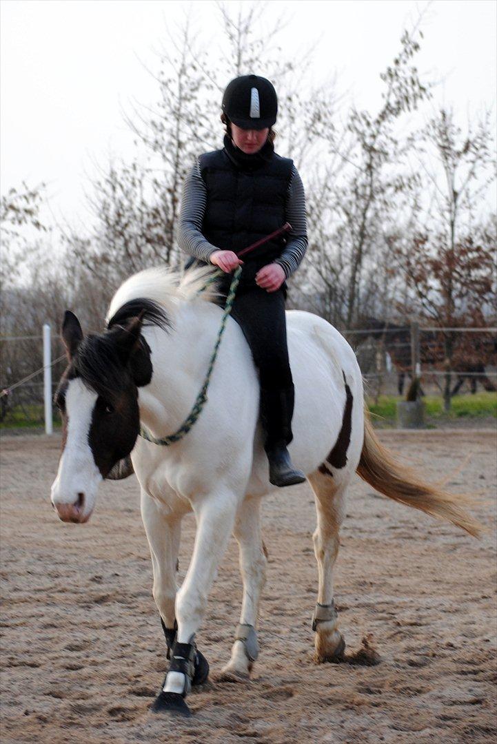 Ridning i cordeo billede 8