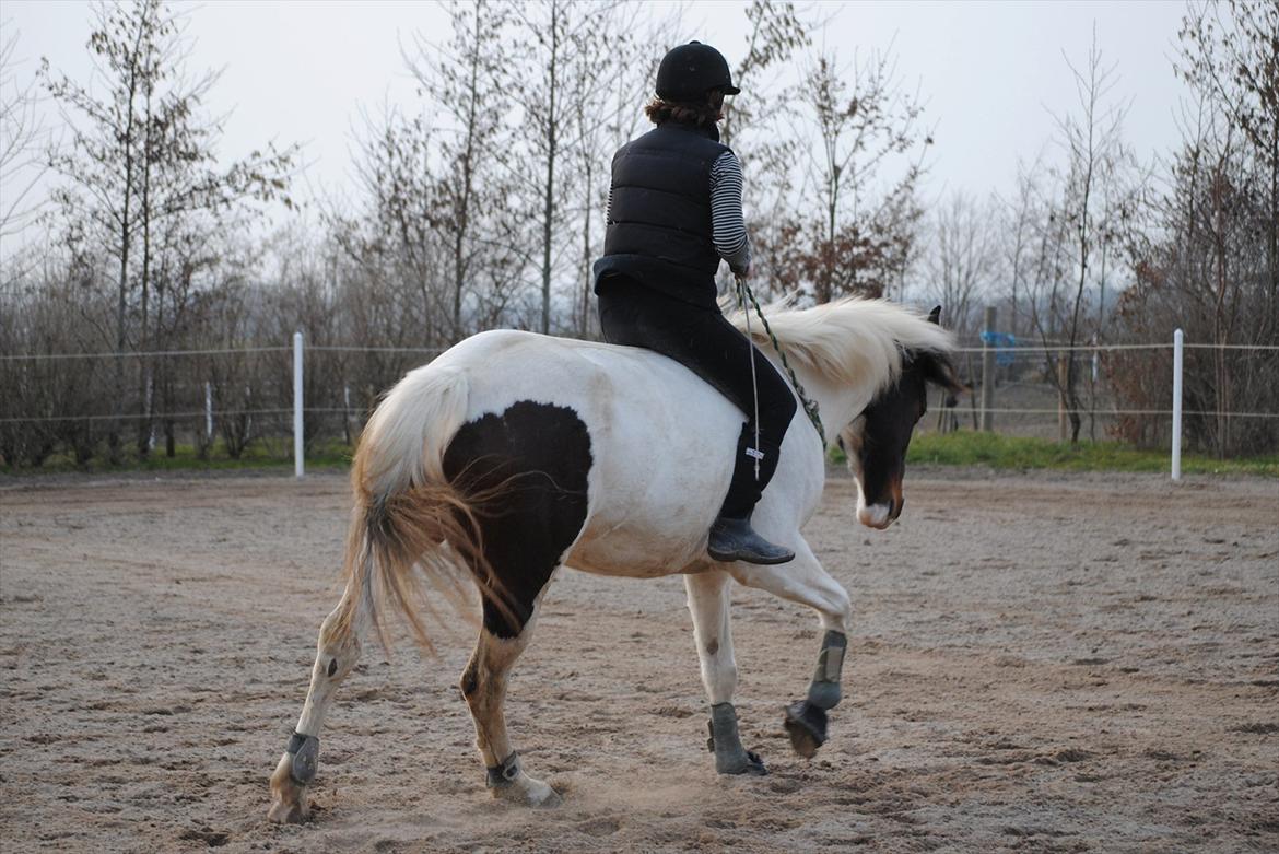 Ridning i cordeo billede 11