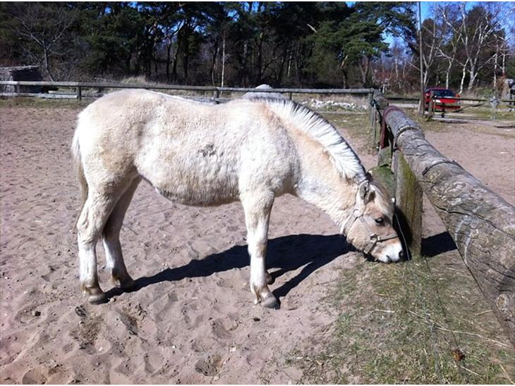 {{currentPhoto.altText}} billede {{currentPhoto.number}}