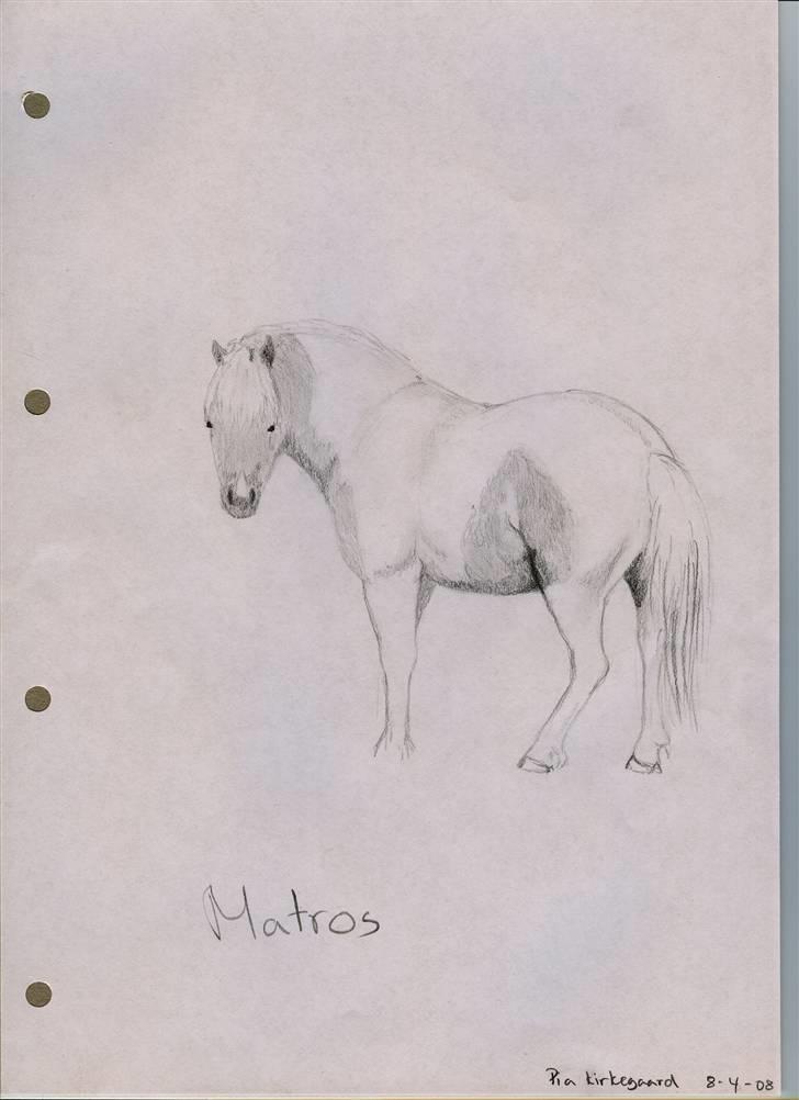 Tegninger jeg har tegnet... - Matros... tegnet efter et af mine billeder af ham... billede 21