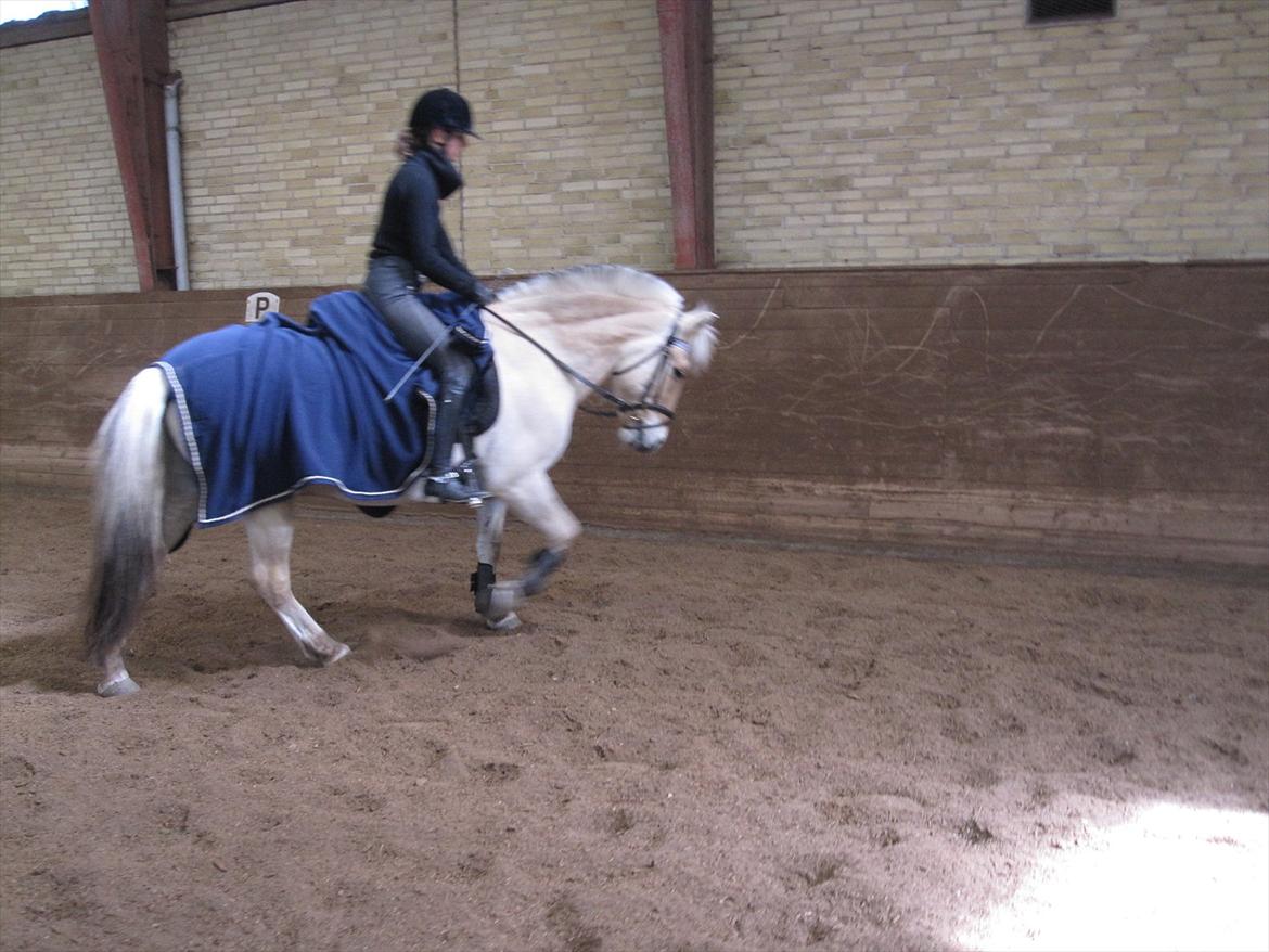 Arkibald og Noa Højland billede 1