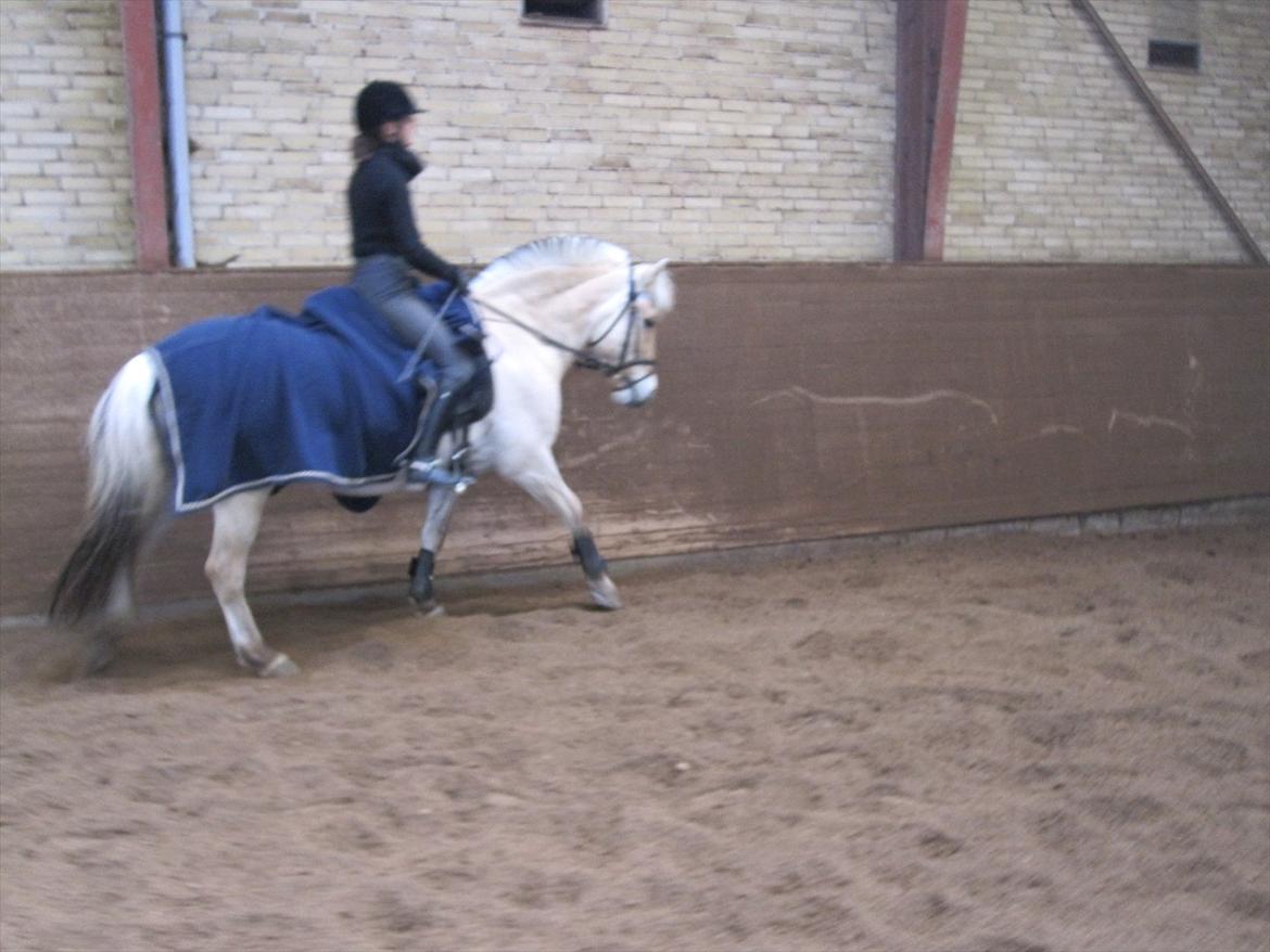 Arkibald og Noa Højland billede 2