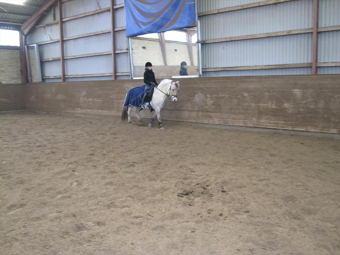 Arkibald og Noa Højland billede 3