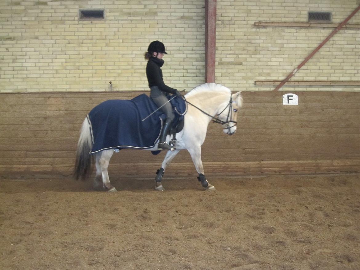 Arkibald og Noa Højland billede 6