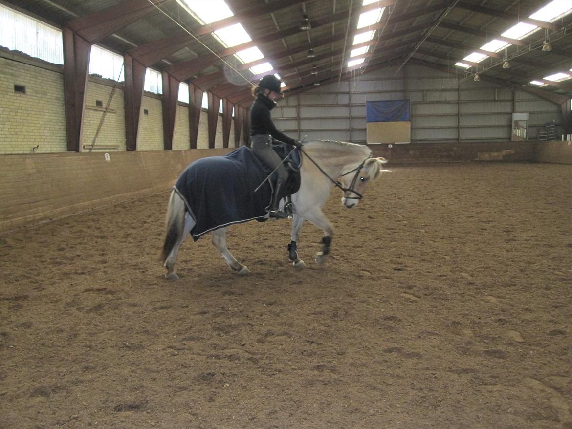 Arkibald og Noa Højland billede 8