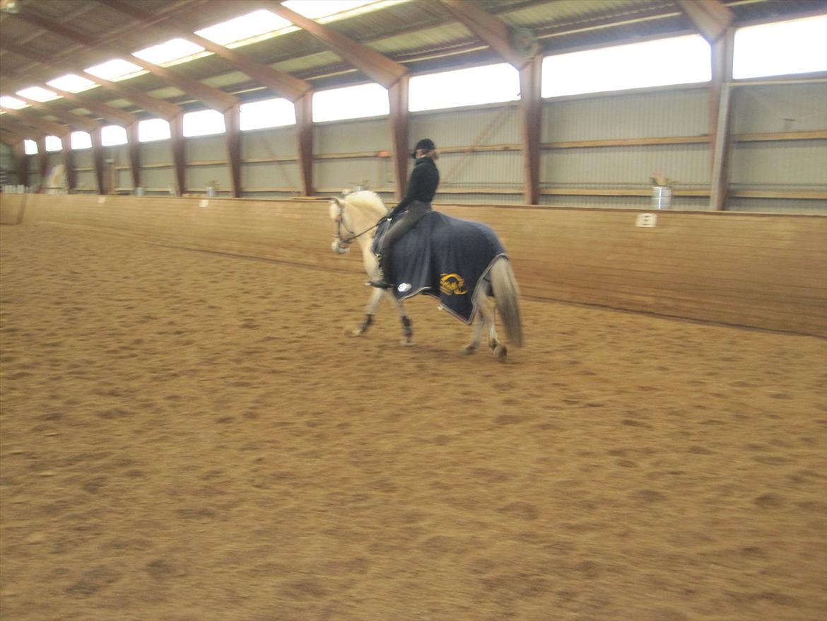 Arkibald og Noa Højland billede 11