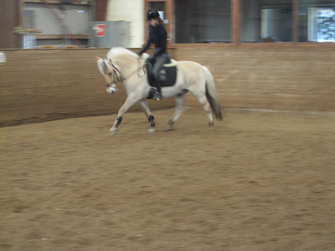 Arkibald og Noa Højland billede 13