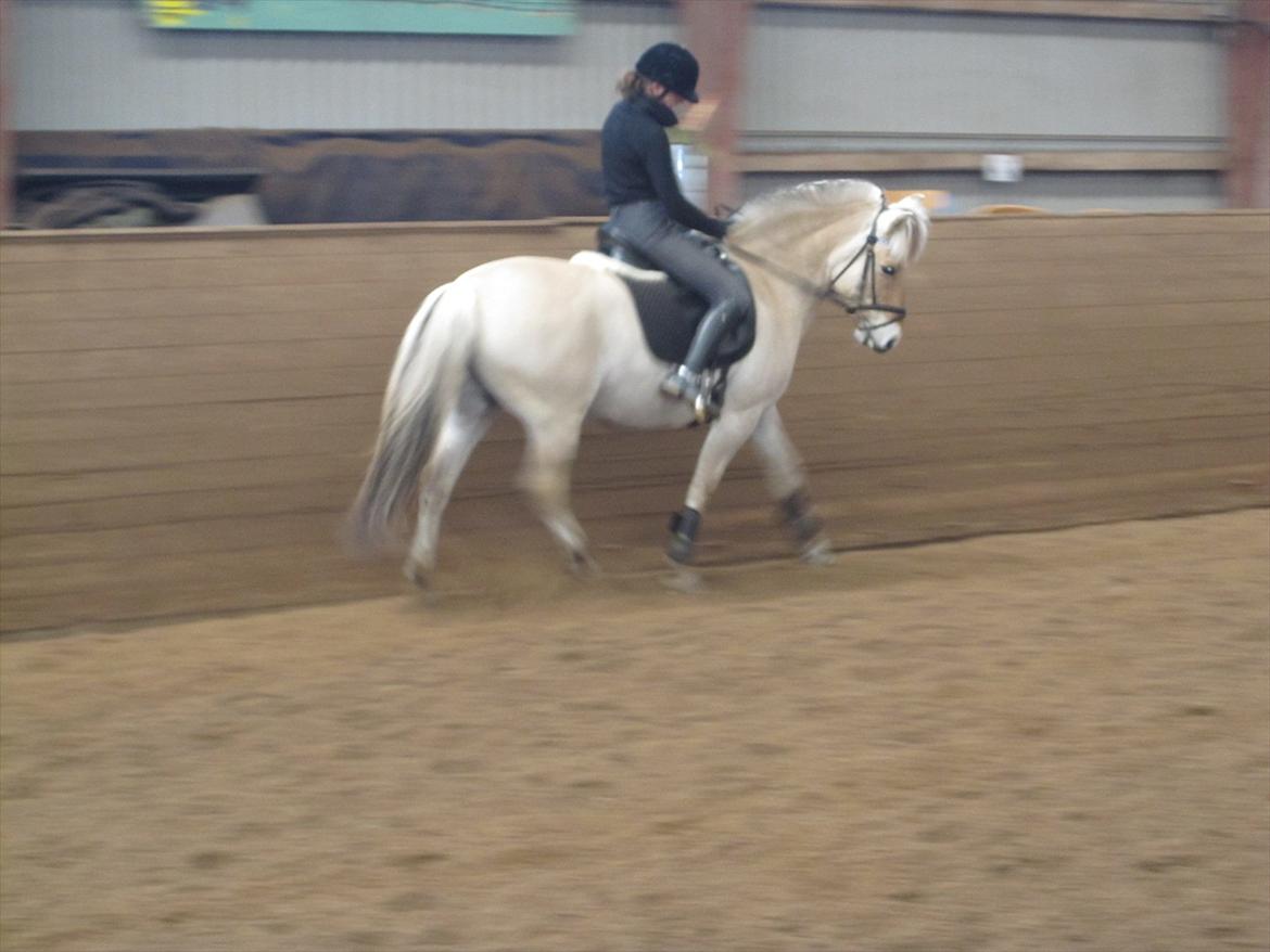 Arkibald og Noa Højland billede 14