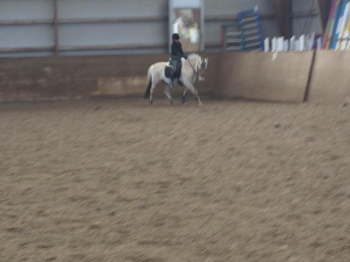 Arkibald og Noa Højland billede 15