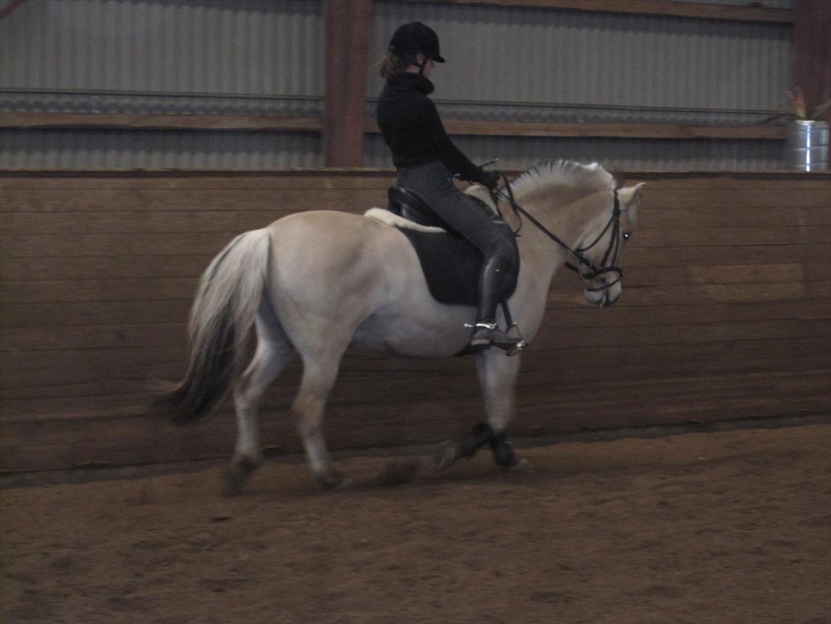 Arkibald og Noa Højland billede 16