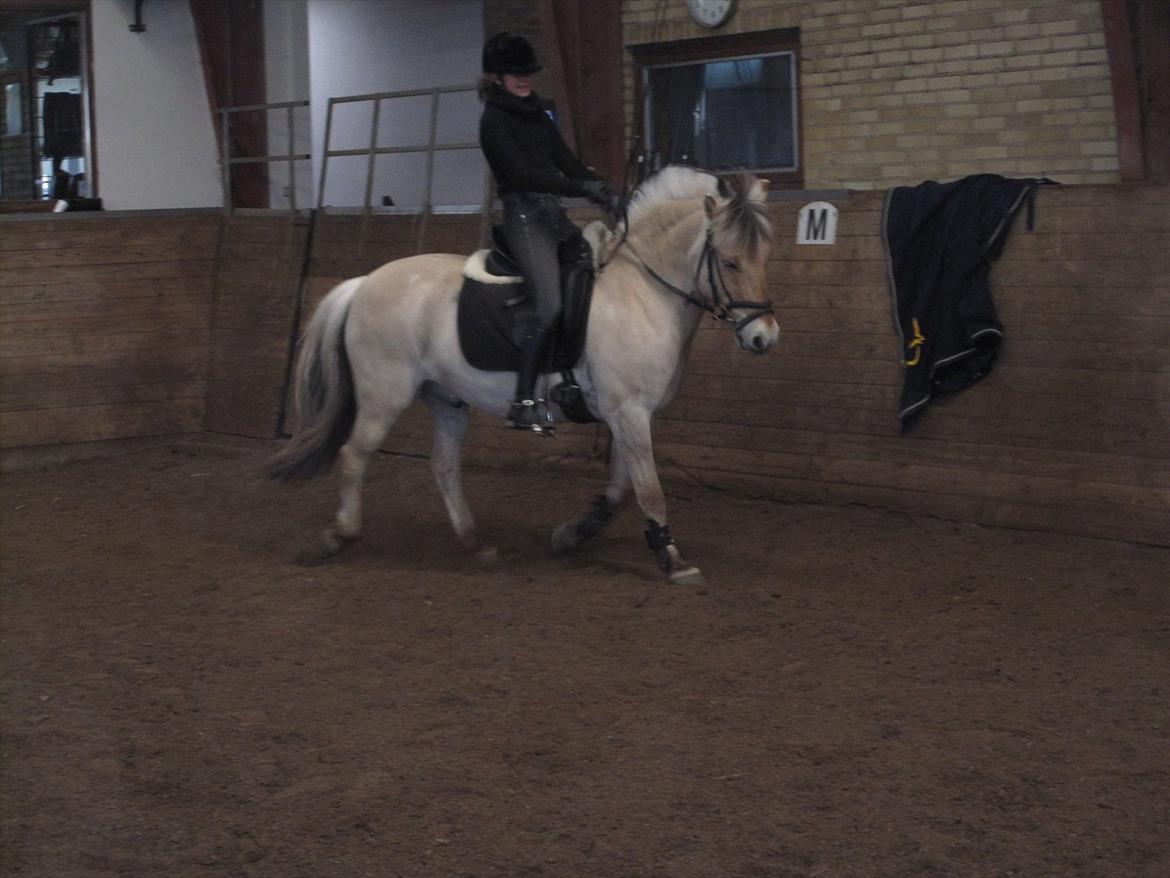 Arkibald og Noa Højland billede 17