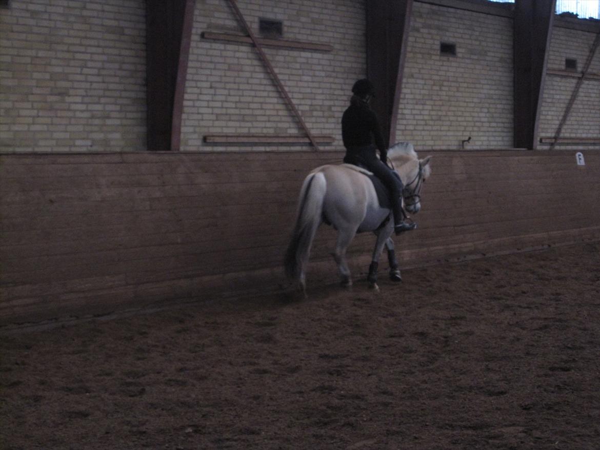 Arkibald og Noa Højland billede 21